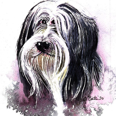 Bearded Collie
$210
12 x 12” 
Black wood Frame